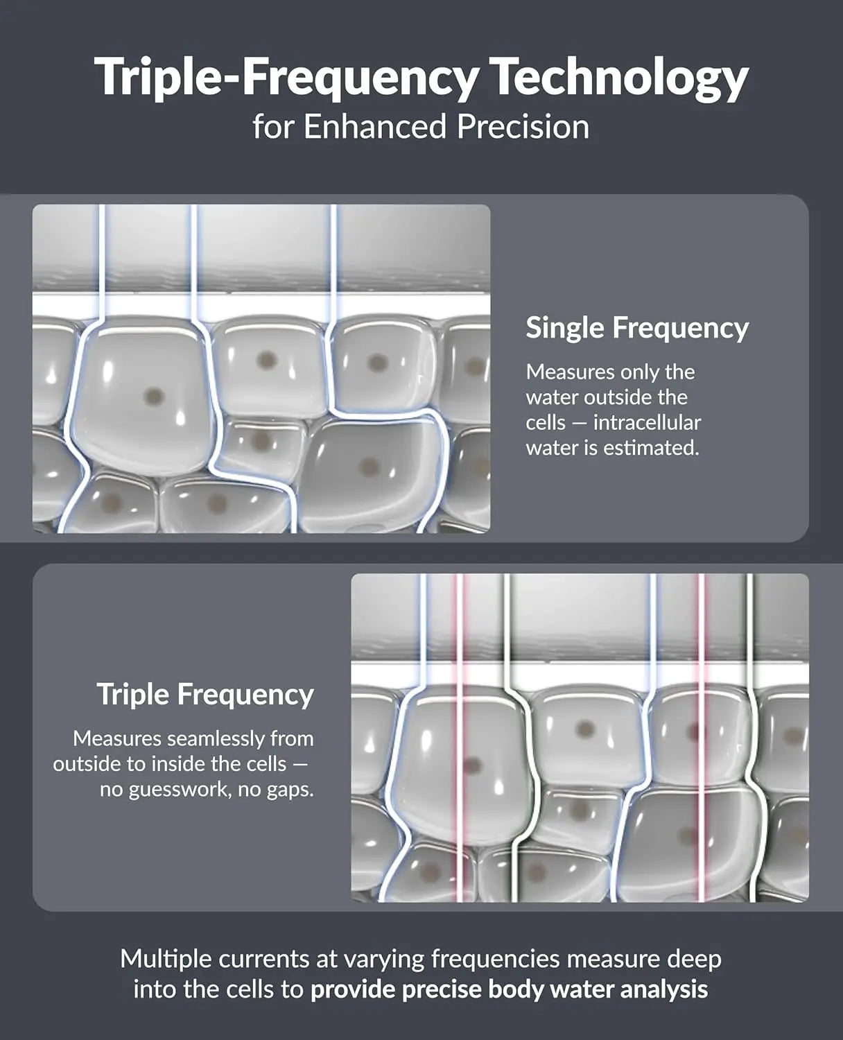 Dial H30 Body Composition Scale | Smart Scale with BMI, Body Fat, Muscle Mass | Scale with App | Body Fat Measurement Device·New